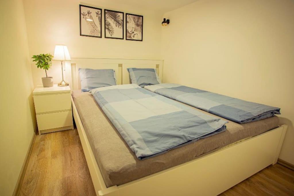 Cosy 2 Bedroom Flat In Akacfa St., Sol Budapest Eksteriør billede