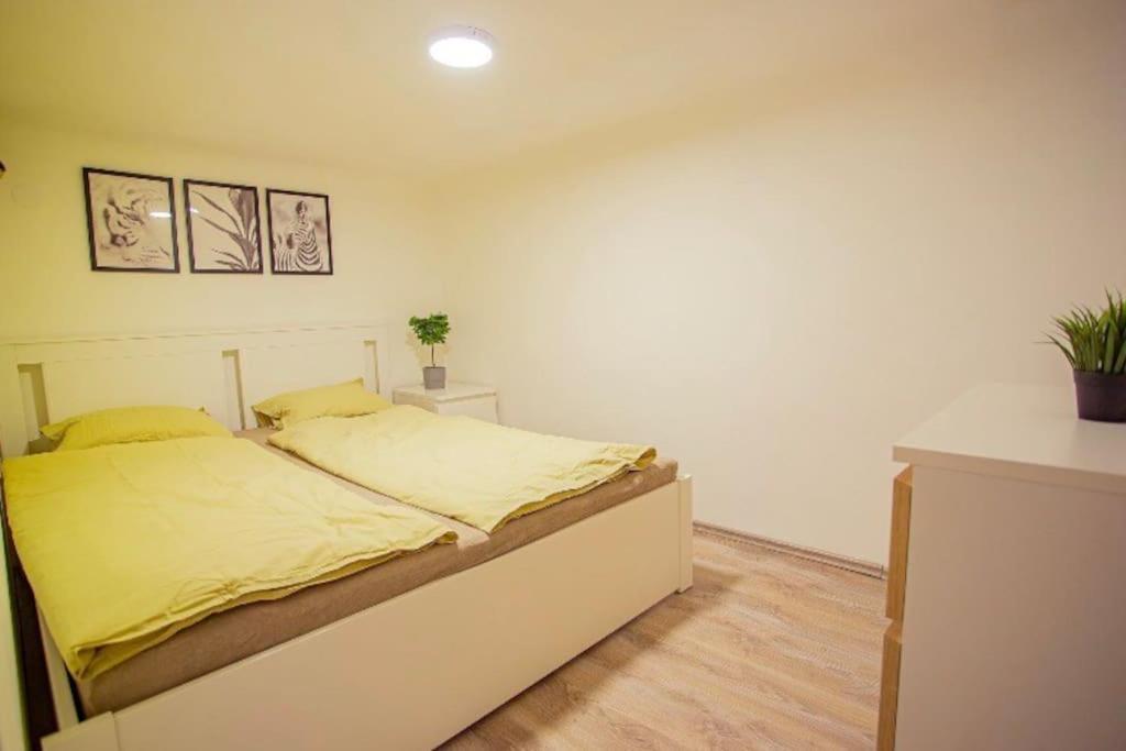 Cosy 2 Bedroom Flat In Akacfa St., Sol Budapest Eksteriør billede